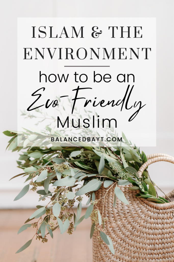 islam-environment-how-to-be-an-eco-friendly-muslim-balancedbayt