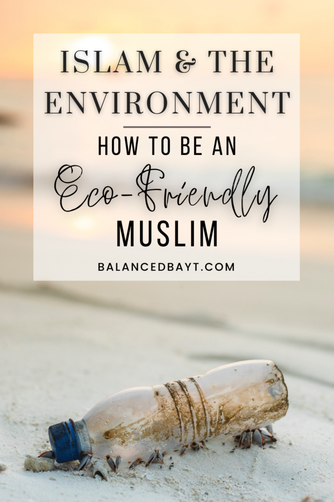 islam-environment-how-to-be-an-eco-friendly-muslim-balancedbayt