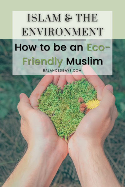 islam-and-environment-eco-friendly-muslim-balancedbayt