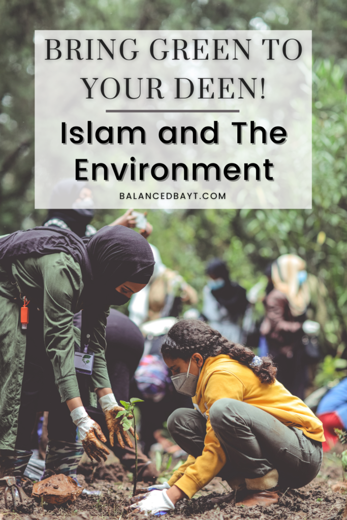 islam-environment-how-to-be-an-eco-friendly-muslim-balancedbayt