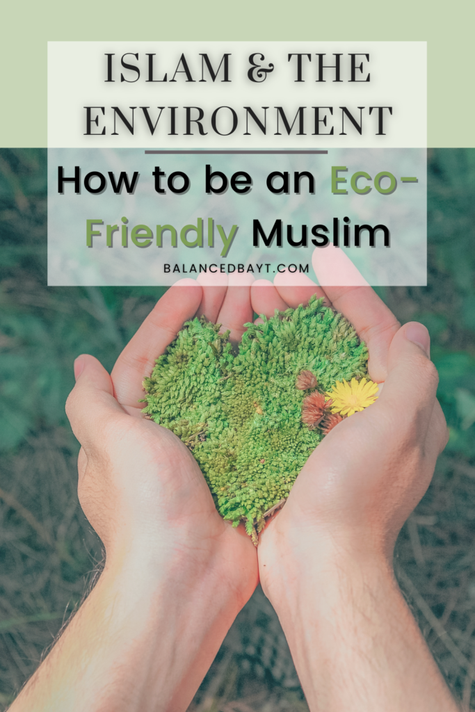 islam-environment-how-to-be-an-eco-friendly-muslim-balancedbayt