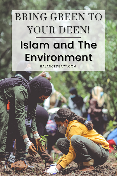 Islam and Environment BalancedBayt