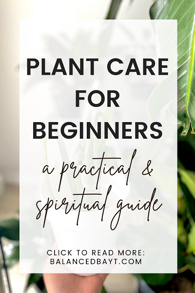 plant care for beginners a practical and spiritual guide, image of plants
